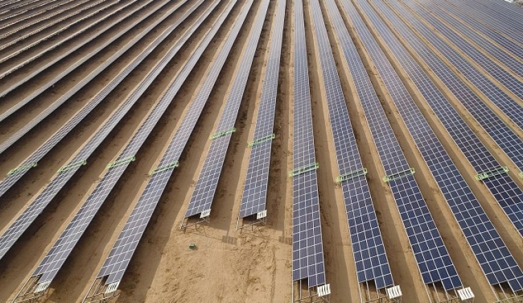 Ecoppia Announces IPO After Successfully Completing Its Public Tender Phase