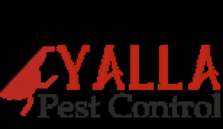 municipality approved pest control dubai