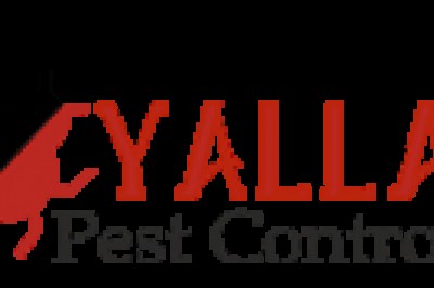 municipality approved pest control dubai