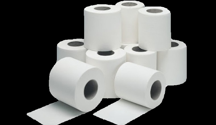 toilet rolls 2 ply hygieneforall