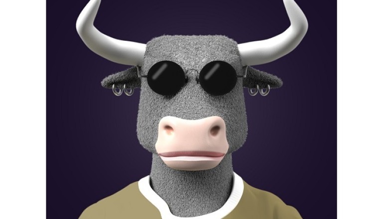 Coinoxs to Introduce the World's First Next-Generation Community NFT