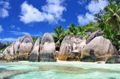 Seychelles Company Formation