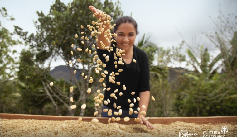 بيرو تُطبق استراتيجية الثقافة المستدامة في قطاع التصدير