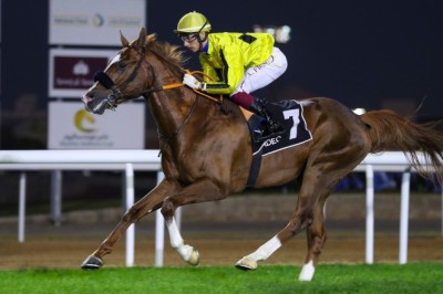 Under the directives of HH Sheikh Mansour bin Zayed, The prize pool for The UAE President's Cup for Purebred Arabian Horses has been increased to AED 4.5 million.