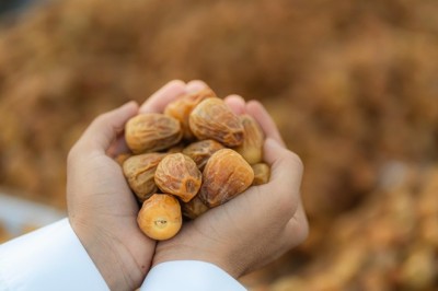 طريق الحرير العربي: منصة عالمية لتعزيز الاستهلاك والإنتاج المسؤول