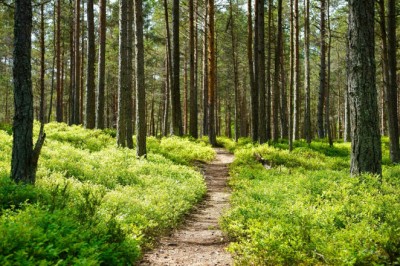 Aligned Growth: The Hardest Part of Scaling Anything Worth Building