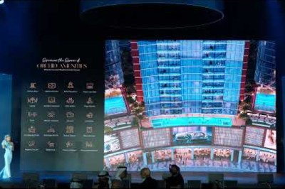 Tiger downtown Ajman First class paradise Tiger property Tiger holding