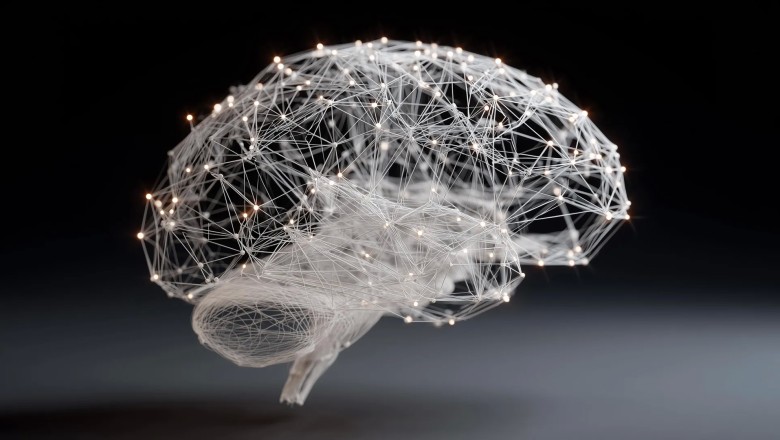 Intelligence emerges when the whole brain works as one