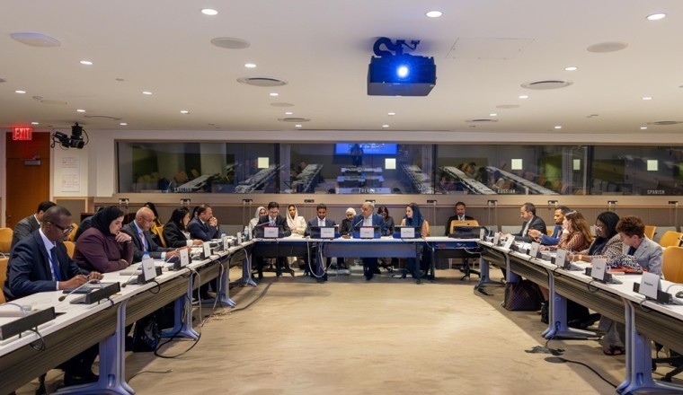الدول الأعضاء في منظمة التعاون الرقمي تؤكد التزامها بالتعاون الرقمي في بيان مشترك خلال الدورة الثمانين للجمعية العامة للأمم المتحدة